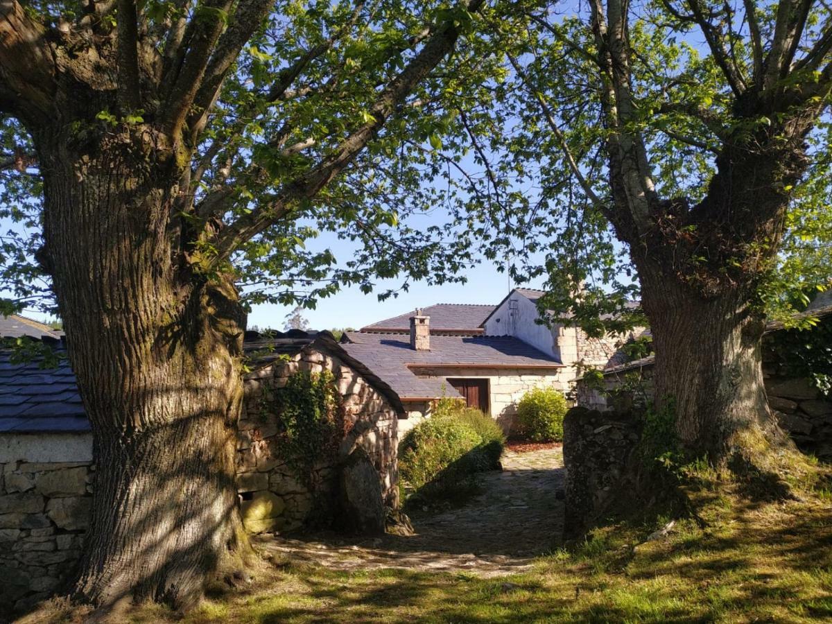 Maison d'hôtes Casa Roan Y Casa Grande à Lodoso Extérieur photo